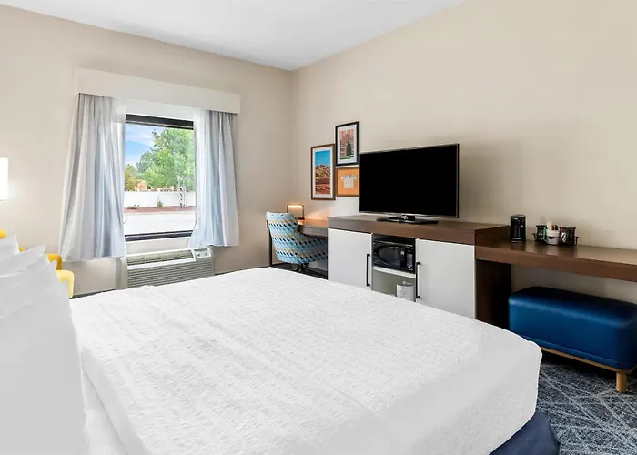Hotel Hampton 3*
