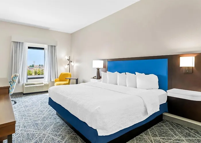 Hotel Hampton 3*